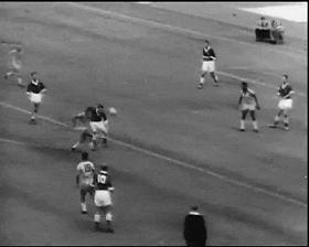 1958年瑞典世界杯,第6届世界杯足球赛